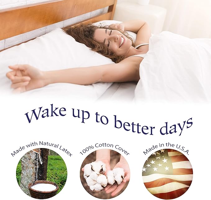 RejuveNite® American Talalay Latex Pillows - Medium Support, Queen High Profile, Dual Set - 100% Cotton Sateen Covers – Made in USA