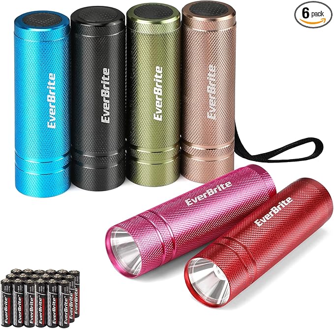 EverBrite 6-Pack Mini Flashlight Set, Aluminum LED Handheld Torches with Lanyard, Assorted Colors, Batteries Included for Party Favors, Night Reading, Camping, Power Outage, Gift to Christmas