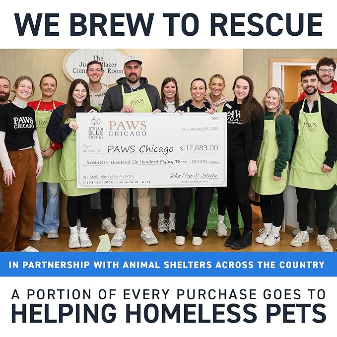 Stella Blue Cold Brew Coffee Packets, Cinnamon Sugar Donut, Medium Roast Ground Coffee, Warm Cinnamon, Sweet Sugar and Donut Pastry Notes, 100% Arabica, 6 Brew Packets, Makes 24 Bold Cups