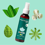 Plant Therapy Kids Shield Me Pests Away Spray 8 oz Naturally Repels Outdoor Annoyances, Great for Camping & Outdoor Get Togethers, Easy & Ready to Use, with Skin-Soothing Aloe & Refreshing Citronella