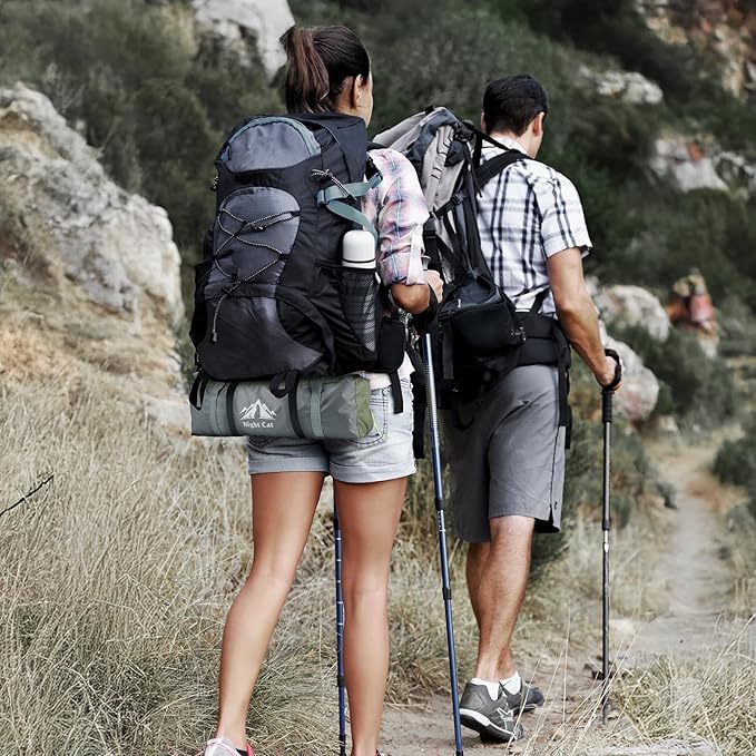 Night Cat 2-Persons Backpacking Tent: Waterproof Lightweight Camping Tent for Two People Hiking Outdoor Mountain with Aluminum Poles and Rainfly Green