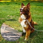 Suwimut 12 Pieces Tent Spring Buckle, Windproof Stainless Steel Rope Tensioner Awning Fixed Hook Buckle, Heavy Duty Tension Springs for Outdoor Camping, Dog Chain, Swing, Hammock Chair, Punching Bag