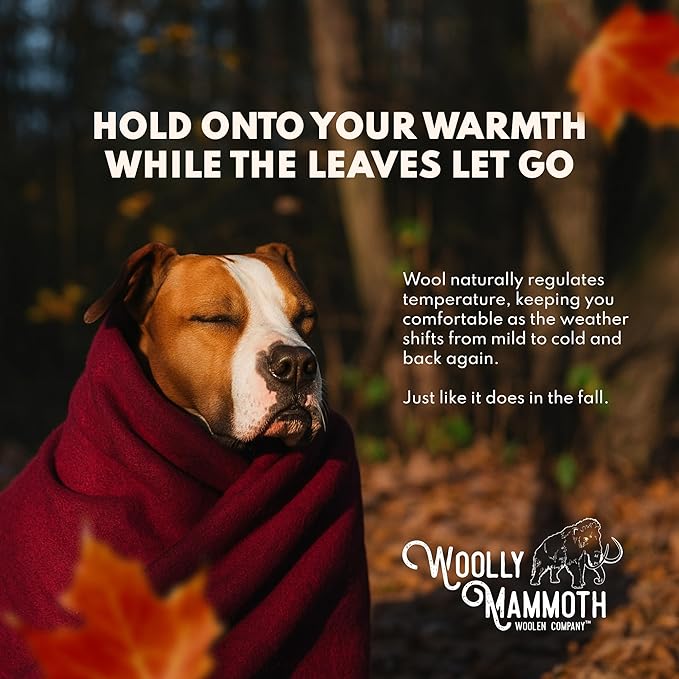 Woolly Mammoth Woolen Company Nester Wool Blanket - Twin, 85 x 47 in, Grey - Rugged Warmth for Camping - Versatile Comfort Wool Throw - Machine Washable for Picnic Blanket