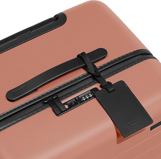 Away Large Trunk Luggage, 31 Inch Hardside Suitcase with Spinner Wheels, Lightweight & Durable, TSA Lock, Ideal for Long Trips, Clay Pink