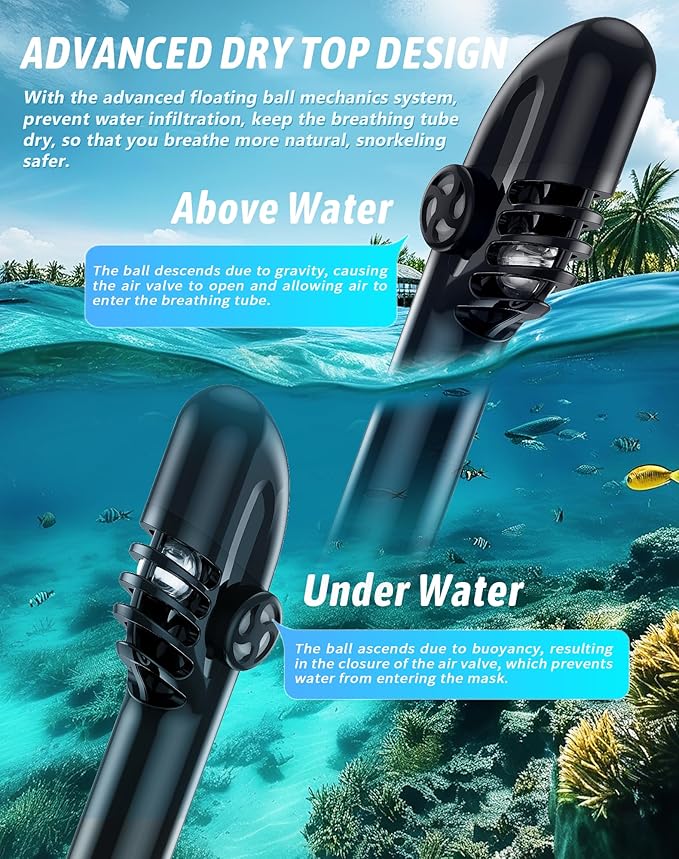 Zenoplige Full Face Snorkel Mask Adults,Dry-Top Snorkeling Gear with Camera Mount,Foldable 180-Degree Panoramic Scuba Mask for Snorkeling Diving Swimming Travel,Snorkel Mask Anti-Fog & Anti-Leak