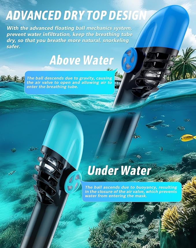 Zenoplige Full Face Snorkel Mask Adults,Dry-Top Snorkeling Gear with Camera Mount,Foldable 180-Degree Panoramic Scuba Mask for Snorkeling Diving Swimming Travel,Snorkel Mask Anti-Fog & Anti-Leak