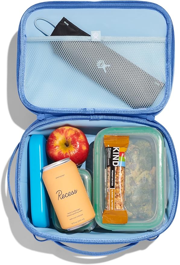 Hydro Flask Carry Out Lunch Box – Insulated Adult Lunch Cooler for Men and Women 5 L Cascade Blue