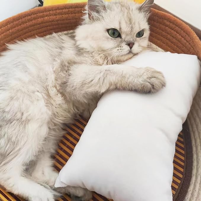 BEDSUM 2 Pack Microfiber Pillows, 13"x18", Soft, Machine Washable, Dark Grey