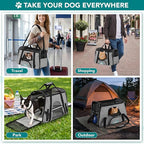 PetAmi Airline Approved Pet Carrier for Cats & Small Dogs, Soft Sided TSA Travel Carrier Bag Sherpa Bed, Breathable Mesh Ventilation, Collapsible Bowl, Fit Under Seat, Up to 18 lbs, Large Heather Gray