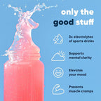 IQMIX Hydration Electrolyte Powder – 4-in-1 Formula for Hydration, Mental Clarity, Mood and Recovery – Sugar-Free Drink Mix, Keto, Magnesium L-Threonate, Lion’s Mane – 40 Count Variety Pack