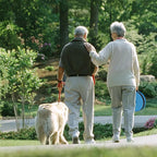 ALEVMOOM Upgraded Nylon Collapsible Stool with 500lbs Max Weight Portable Retractable Folding Telescoping Stools for Adults Chair for Outdoor Camping Fishing Hiking BBQ(Nylon Blue)