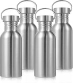 Volhoply 20oz Stainless Steel Water Bottle with Handle 4 Pack,Non Insulated Single Wall, Dishwasher Safe No Plastic 18/8 304 Metal Water Bottles with Wide Mouth for Camping, Hikers, Cyclists