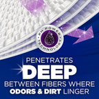 ARM & HAMMER Deep Clean Odor Formula Laundry Detergent Power Paks, 21 ct.