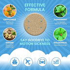 VIORY Motion Sickness Patches for Car and Boat Rides, Ships, Cruise and Airplane & Other Forms of Transport - Travel Essentials, for Adults and Kids (60 Count)