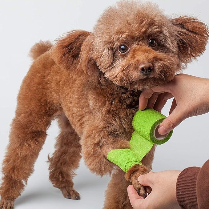 RISEN Cohesive Bandage 2” x 5 Yards, 6 Rolls, Self Adherent Wrap Medical Tape, Adhesive Flexible Breathable First Aid Gauze Ideal for Stretch Athletic