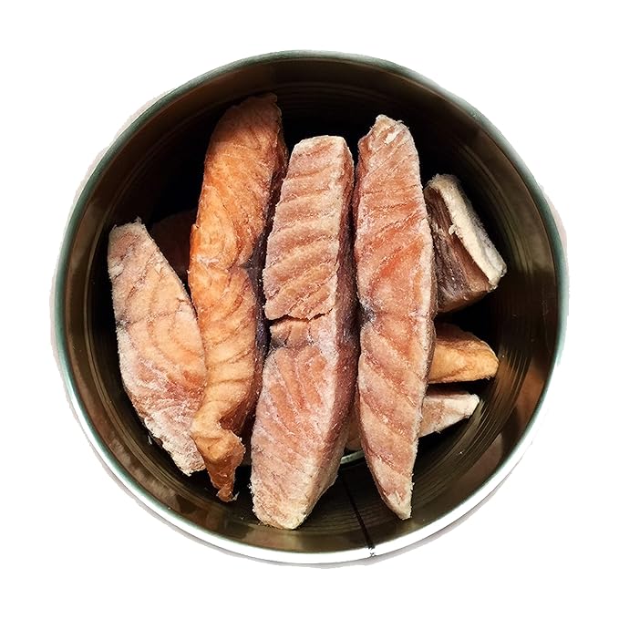 Military Surplus Freeze Dried Salmon Fillets Uncooked 16 Oz Long Shelf Life Emergency Survival Food #10 Can 25+ Year Shelf Life Prepper, Camping and Emergency Supplies Canned Meat Easy Prep Pack of 1