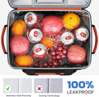 Maelstrom Cooler Bag, 30 Cans Beach Cooler, Large Leakproof Insulated Soft Cooler with Bottle Opener, Ice Chest, Portable Collapsible Cooler for Travel, Camping, Shopping