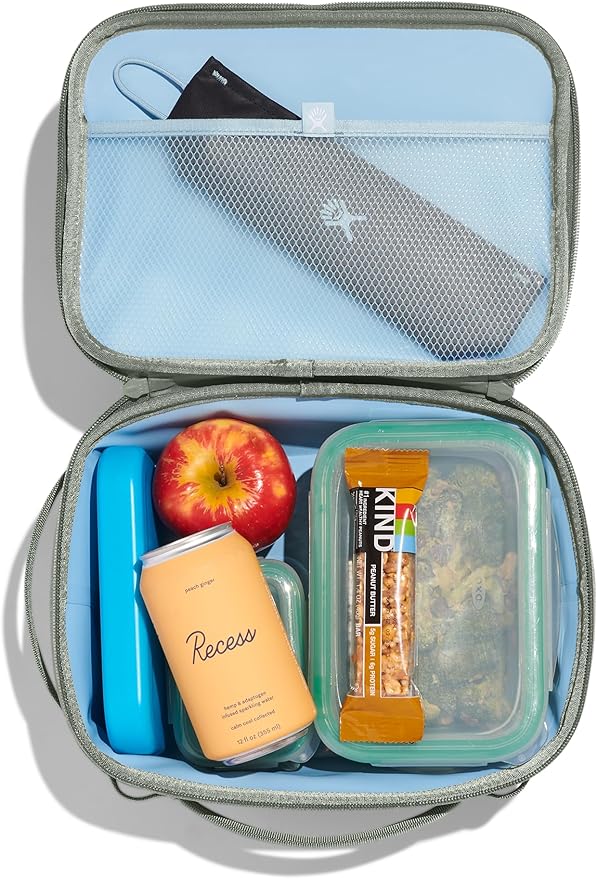 Hydro Flask Carry Out Lunch Box – Insulated Adult Lunch Cooler for Men and Women 5 L Sandpiper