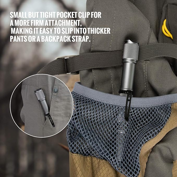 ThruNite Archer 2A V3 LED Flashlight, 500 Lumens Mini AA Flashlight with Lanyard, IPX8 Water-Resistant Dual Switch Outdoor Flash Light for Hiking, Camping, Everyday Use, EDC - Metal Grey CW