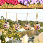 Cooo 2 Pack Mosaic Solar Lantern Outdoor Waterproof IP68 Hanging Projection Light Hidden Lid Pear-Shaped Lantern with Rope Handle Solar Powered Auto On for Patio Garden Fence Table -Petal Mirage