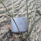 Camping Mug Titanium Double Wall Coffee Tea Cup (110ML Double-Wall Cup)