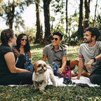 32oz Insulated Water Bottle with Straw Lid & Spout Lid & Paracord Handle, Stainless Steel Water Bottle Wide Mouth, Double Wall for Women Men Gym Fitness Outdoor