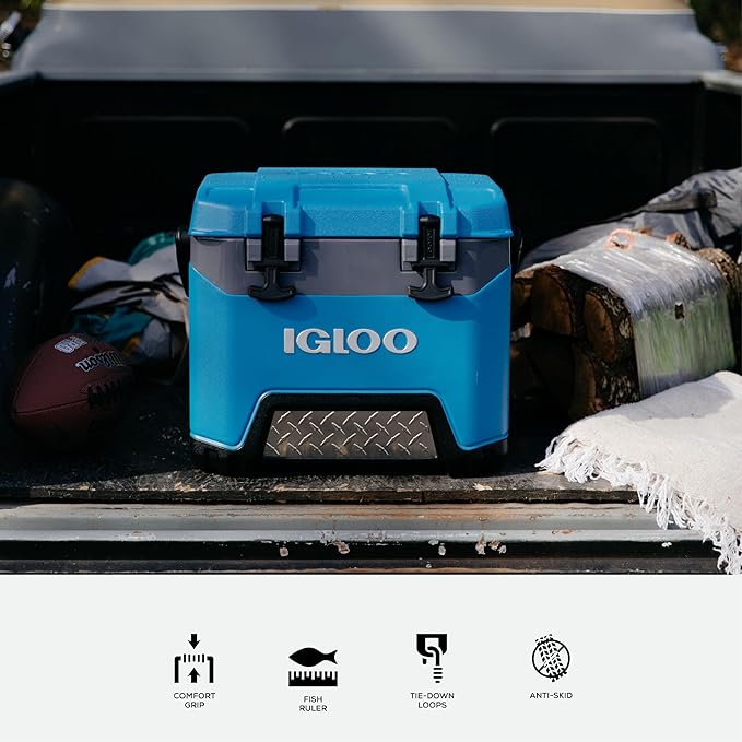 Igloo BMX Hard Coolers (25-72QT)