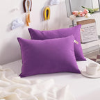 NTBAY Toddler Pillows, Down Alternative 13"x18" Pillows, Machine Washable - Soft and Breathable Travel Small Pillows for Sleeping, Ideal for Daycare, Crib, Cot, Purple