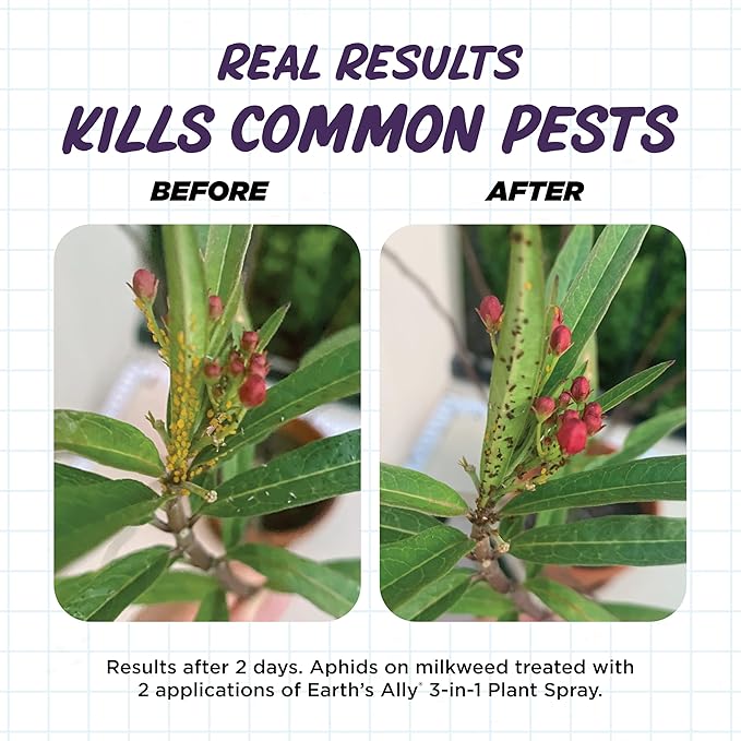 Earth's Ally 3-in-1 Plant Spray 32 oz Conc. Makes 4 gal | Insecticide, Fungicide & Spider Mite Control for Organic Gardening