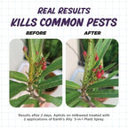 Earth's Ally 3-in-1 Plant Spray 32 oz Conc. Makes 4 gal | Insecticide, Fungicide & Spider Mite Control for Organic Gardening