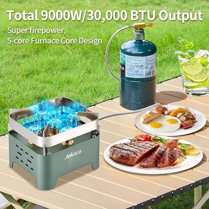 Camping Stove Portable Propane Camping Stove Small Outdoor Stove, 30,000 BTU Camp Stove,Windproof Single Butane Stove, with Carrying Case & ignitor,for Camping, Backpacking, Emergency