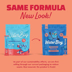 Waterboy Weekend Recovery | 3,200mg Electrolyte Powder Packets | Ginger + L-Theanine + Vitamins | No Sugar, All Natural, Gluten Free | 24 Drink Stick Mixes (Fruit Punch)