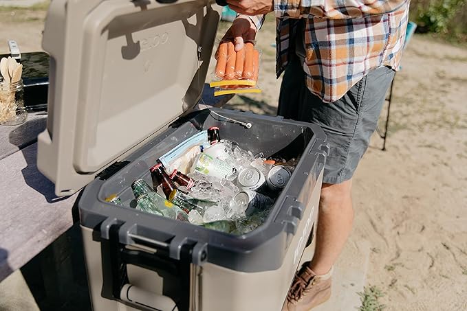 Igloo BMX Hard Coolers (25-72QT)