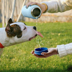 BOTTLE BOTTLE 32oz Insulated Water Bottle Stainless Steel Sport Water Bottle with Straw Dual-use Lid Design for Gym with Pill Box