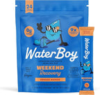 Waterboy Weekend Recovery | 3,200mg Electrolyte Powder Packets | Ginger + L-Theanine + Vitamins | No Sugar, All Natural, Gluten Free | 24 Drink Stick Mixes (Orange Mango)