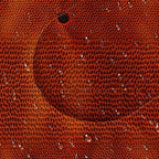 BSNTHO Camping Sleeping Bags,3 Season Warm & Cool Weather,Lightweight,Waterproof Sleeping Bags for Adults & Kids,Traveling,and Outdoors,Camping Gear Equipment