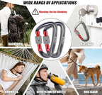 12kN Locking Carabiner Clips, Small Aluminium Carabiners Keychain, Heavy Duty Caribeaners for Camping, Hiking, Hammocks, Swings, Dog Leash, 2 Pcs