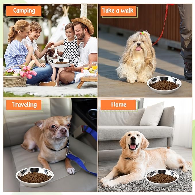 Patelai 8 Pcs Stainless Steel Dog Bowls with Silicone Lids Portable Food and Water Dishes for Pets Sealable Containers for 6.3" for Cats & Small Dogs (Red,Blue,Green,Purple)