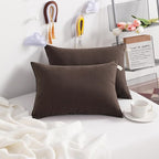 NTBAY Toddler Pillows, Down Alternative 13"x18" Pillows, Machine Washable - Soft and Breathable Travel Small Pillows for Sleeping, Ideal for Daycare, Crib, Cot, Dark Brown