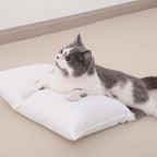 NTBAY Toddler Pillows, Down Alternative 13"x18" Pillows, Machine Washable - Soft and Breathable Travel Small Pillows for Sleeping, Ideal for Daycare, Crib, Cot, Aqua