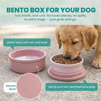KindTail Portable Pet Feeder, Travel Dog Bowls with Lid and Handle, Microwave and Dishwasher-Safe, 10oz Inner Bowl & 20oz Outer Bowl, Grey