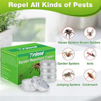 4 Pack Peppermint Oil Spider Repellent Indoor - Powerful Spider Repellent with Plant-Based Ingredients, Keep Spider Away from Indoor Outdoor Room Basement Garage Kids Pet Safe, Easy to Use