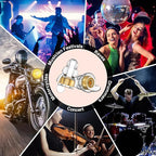 YomauiYee High Fidelity Concert Earplugs for Concerts Musicians, Music Festivals, Earplugs for noise reduction, 24db 2 Pairs (Gold)