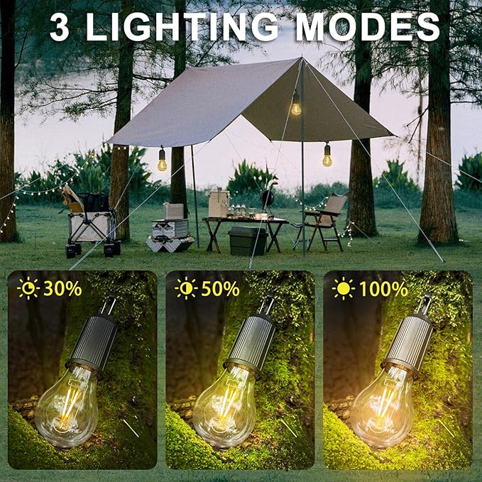 4 Pack Camping Lights Rechargeable, Hanging Tent Lights Bulb with Hook, Timer Function, 3 Lighting Modes Tent Lamp for Camping, Hiking, Backpacking, Emergency Outage(Black)