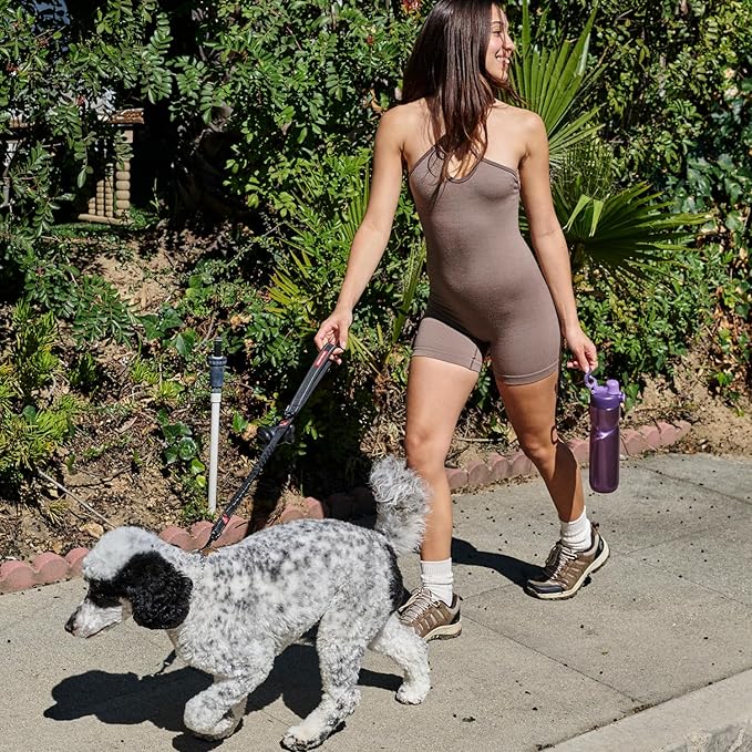 BOTTLE BOTTLE Insulated Water Bottle 24 oz with Handle and Flip Tops Lids Stainless Steel Water Bottle Push Button Lid Leak proof Portable for Running Travel Sports Hiking purple