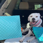 VOS Waterproof Pillow, Lightweight and Comfortable Outdoor Pillows for Beach, Pool, Hiking, Backpacking, Camping, Hunting and Fishing (Seafoam Square)