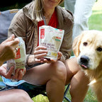 GOOD TO-GO White Bean Chicken Chili (6-Pack of Single Servings) | Camping & Backpacking Food | Just Add Water Backpacking Meals | Good To-Go Dehydrated Meals Taste Better Than Freeze Dried Food