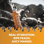 HOIST Premium Military Hydration Electrolyte Drink, Powerful IV-Level Hydration, Clinically Proven Performance Drink, Peach Mango, 16 Fl Oz (Pack of 12)