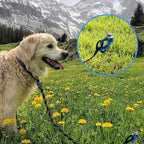 Homeon Wheels 18 Pcs Ground Anchors Aluminum Non-Rust Screw Cast Tent Stakes Heavy Duty Metal Anchors for Securing Animals, Tents, Canopies, Sheds, Car Ports, Swing Sets Outdoors Beach