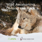 ATEPA ThermAir Pro Backpacking Sleeping Pad, 6.6 R-Value Insulated Ultralight Inflatable Sleeping Pad Folding Camping Pad with 7 Layers & Storage Bag for Camping Backpacking, Wide Long Size (78"x27")